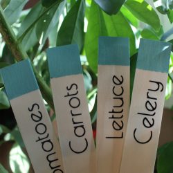 Garden Markers