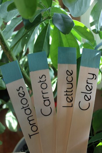 Garden Markers